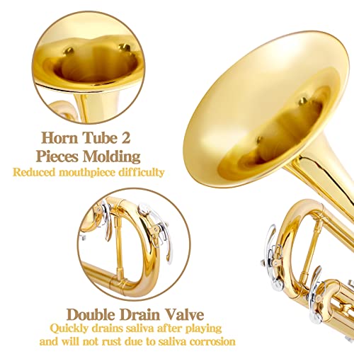 Amazon.com: SLADE: TRUMPET